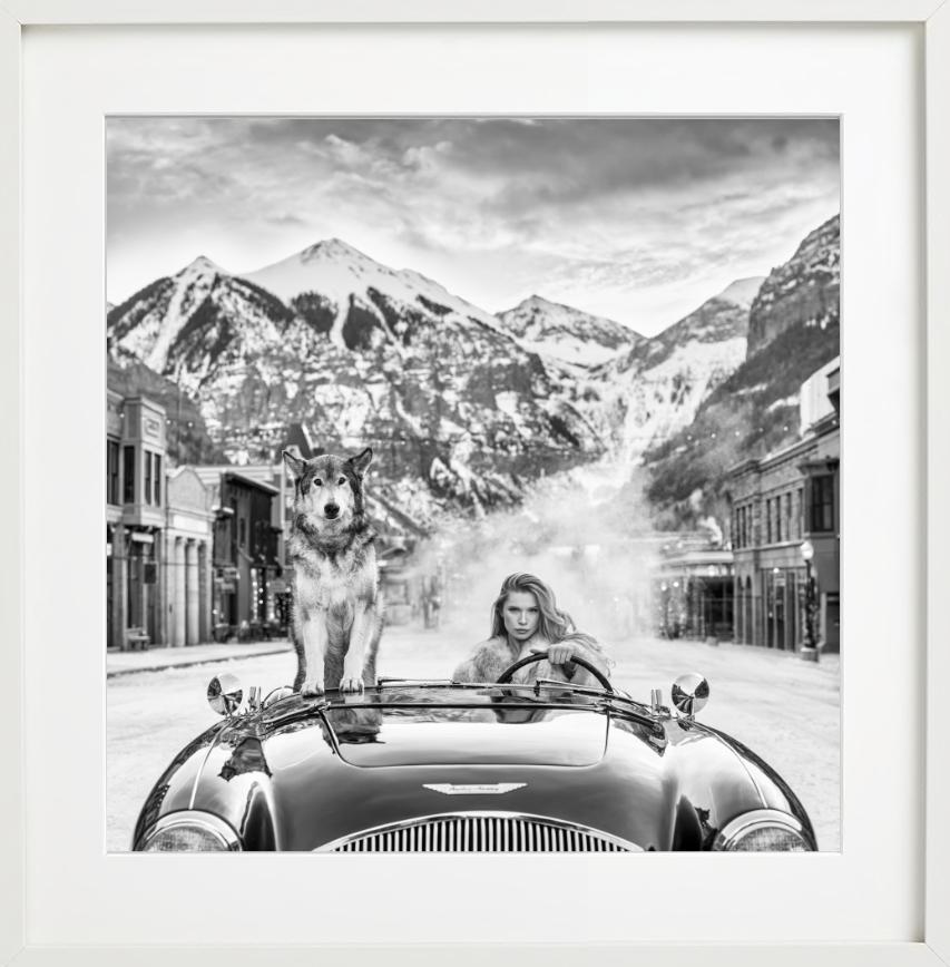 Last Christmas - Modell und Wolf in einem Aston Martin, Kunstfotografie, 2024 im Angebot 5