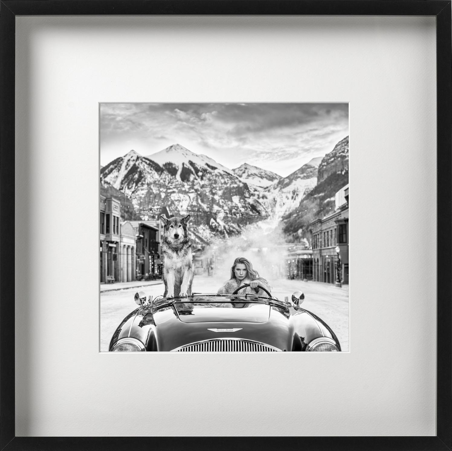 Last Christmas - Modell und Wolf in einem Aston Martin, Kunstfotografie, 2024 im Angebot 6