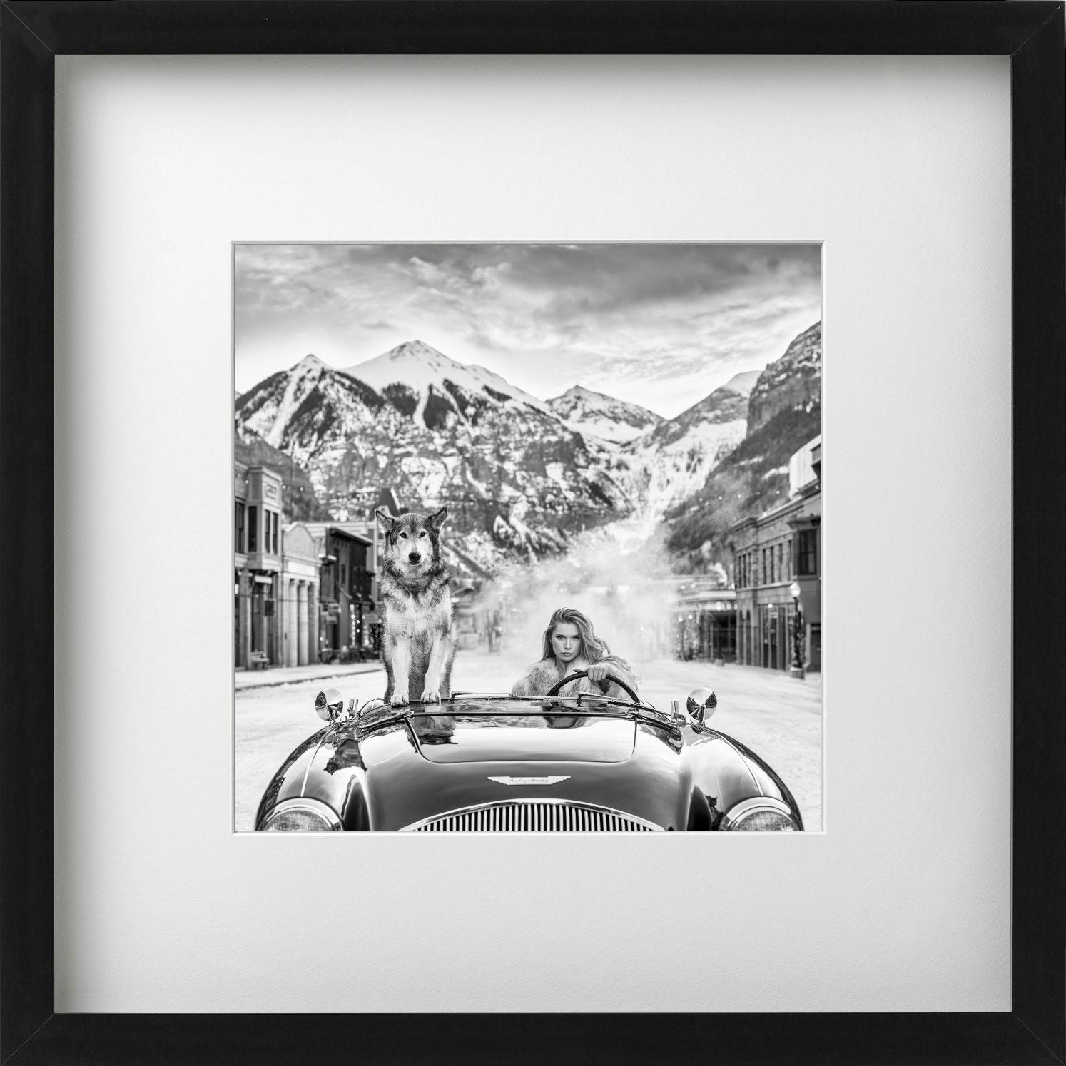 Last Christmas - Modell und Wolf in einem Aston Martin, Kunstfotografie, 2024 (Zeitgenössisch), Photograph, von David Yarrow