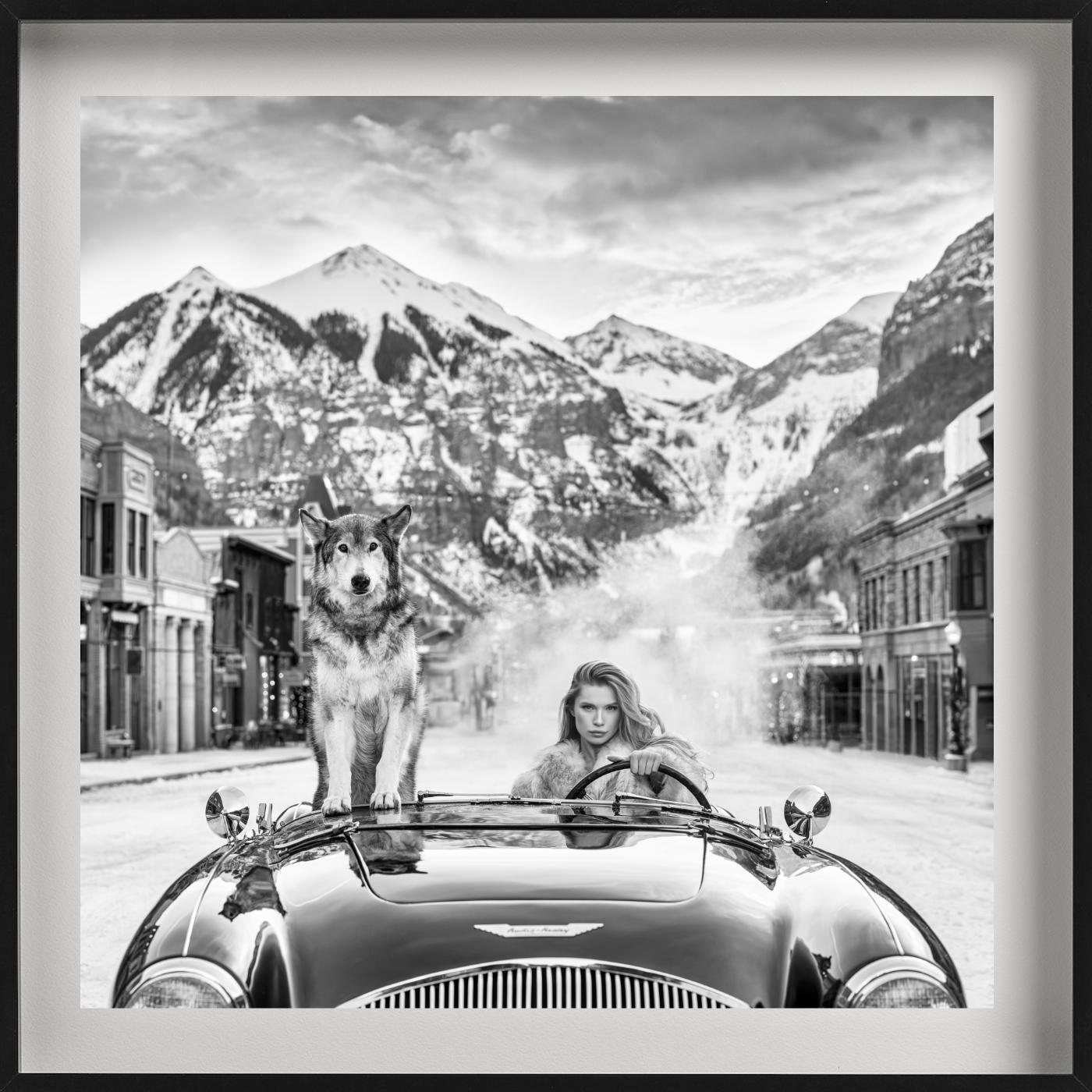 Last Christmas - Modell und Wolf in einem Aston Martin, Kunstfotografie, 2024 (Grau), Black and White Photograph, von David Yarrow
