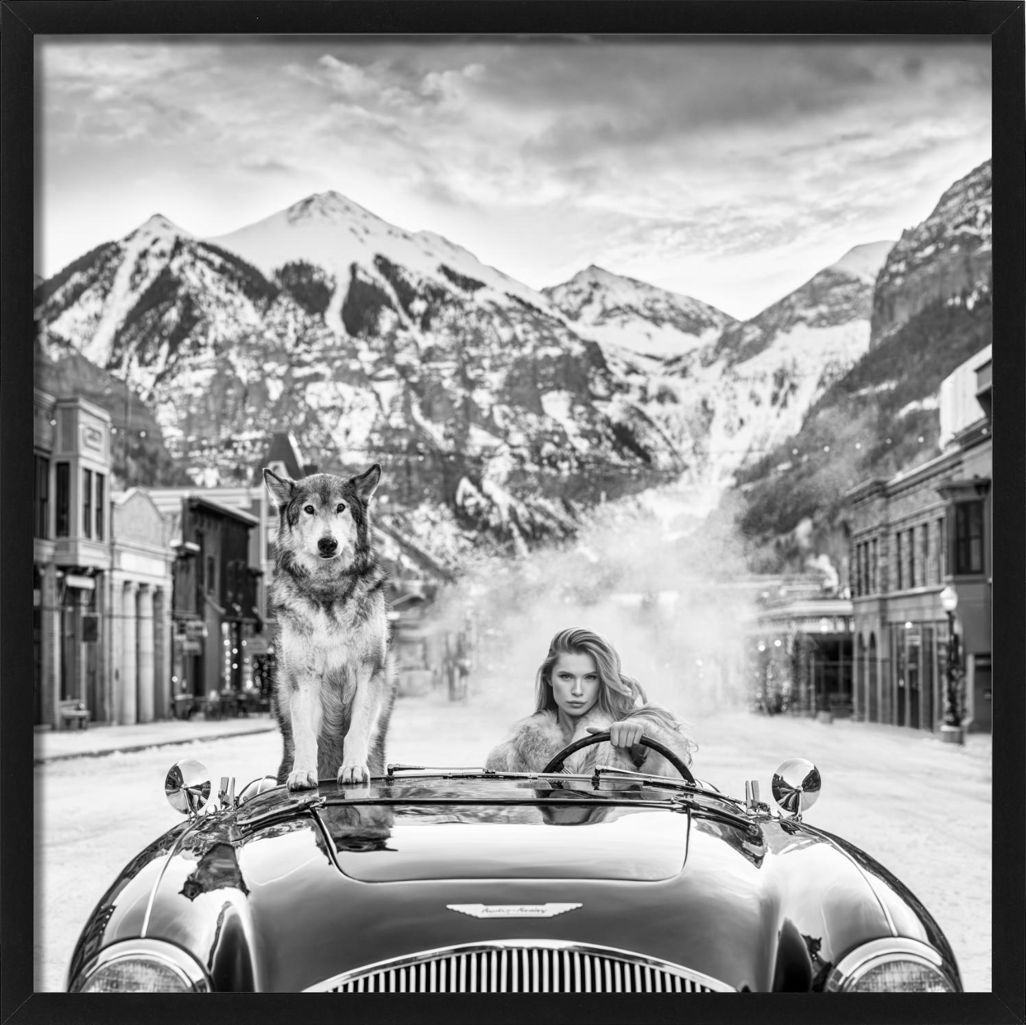 Last Christmas - Modell und Wolf in einem Aston Martin, Kunstfotografie, 2024 im Angebot 1