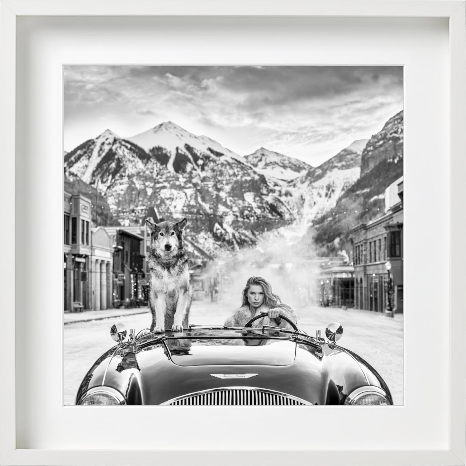 Last Christmas - Modell und Wolf in einem Aston Martin, Kunstfotografie, 2024 im Angebot 2