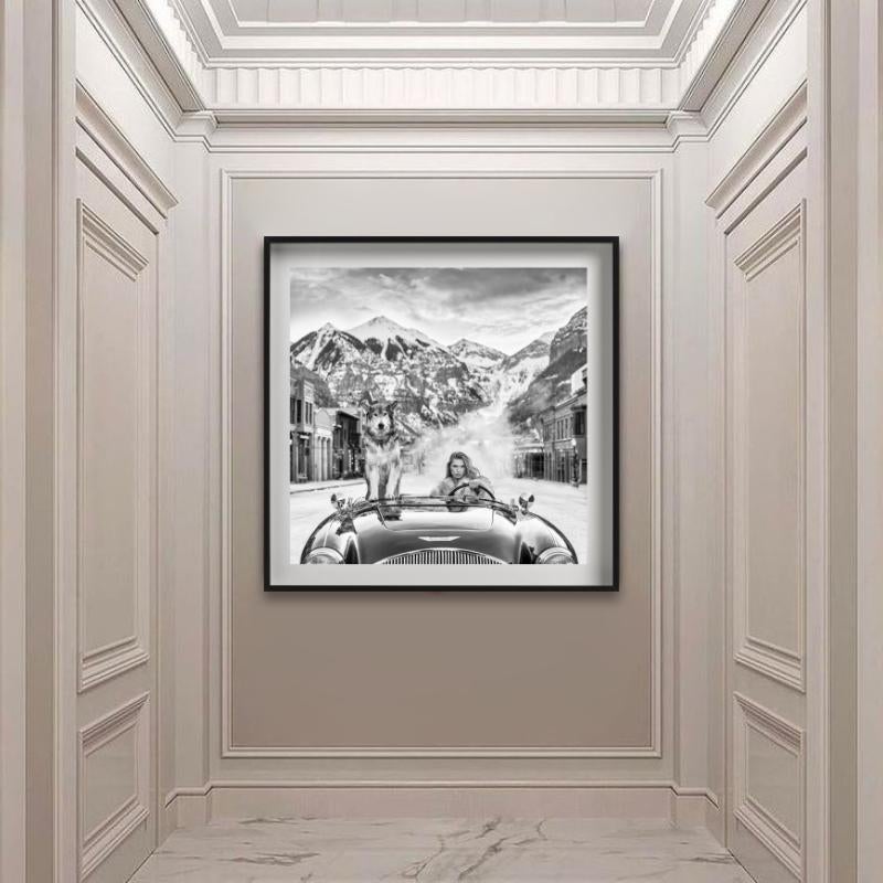 Last Christmas - Modell und Wolf in einem Aston Martin, Kunstfotografie, 2024 im Angebot 3