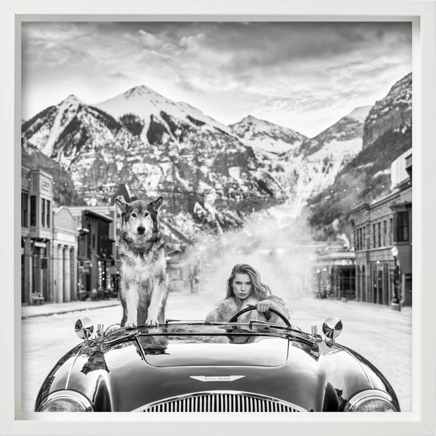 Last Christmas - Modell und Wolf in einem Aston Martin, Kunstfotografie, 2024 im Angebot 4