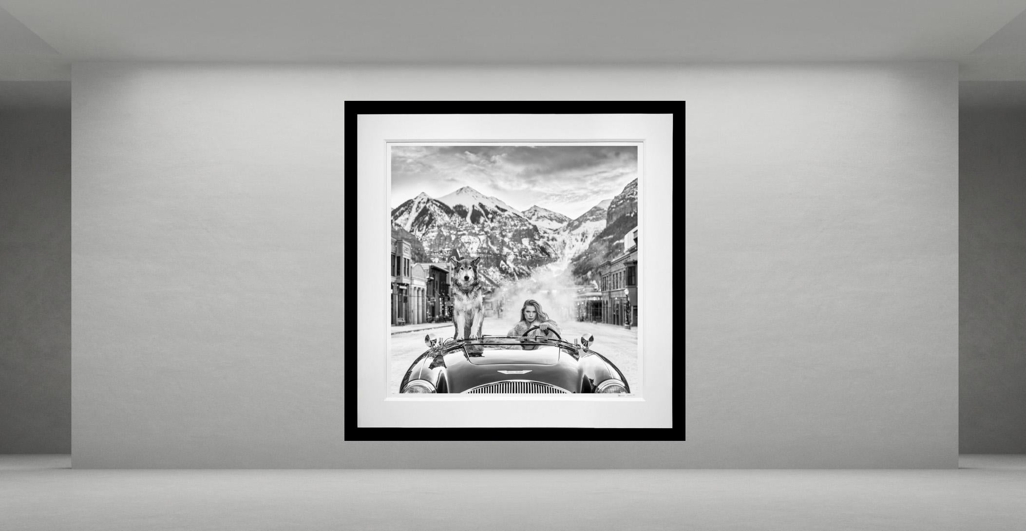 Última Navidad, Telluride de David Yarrow - Wolf en venta 1