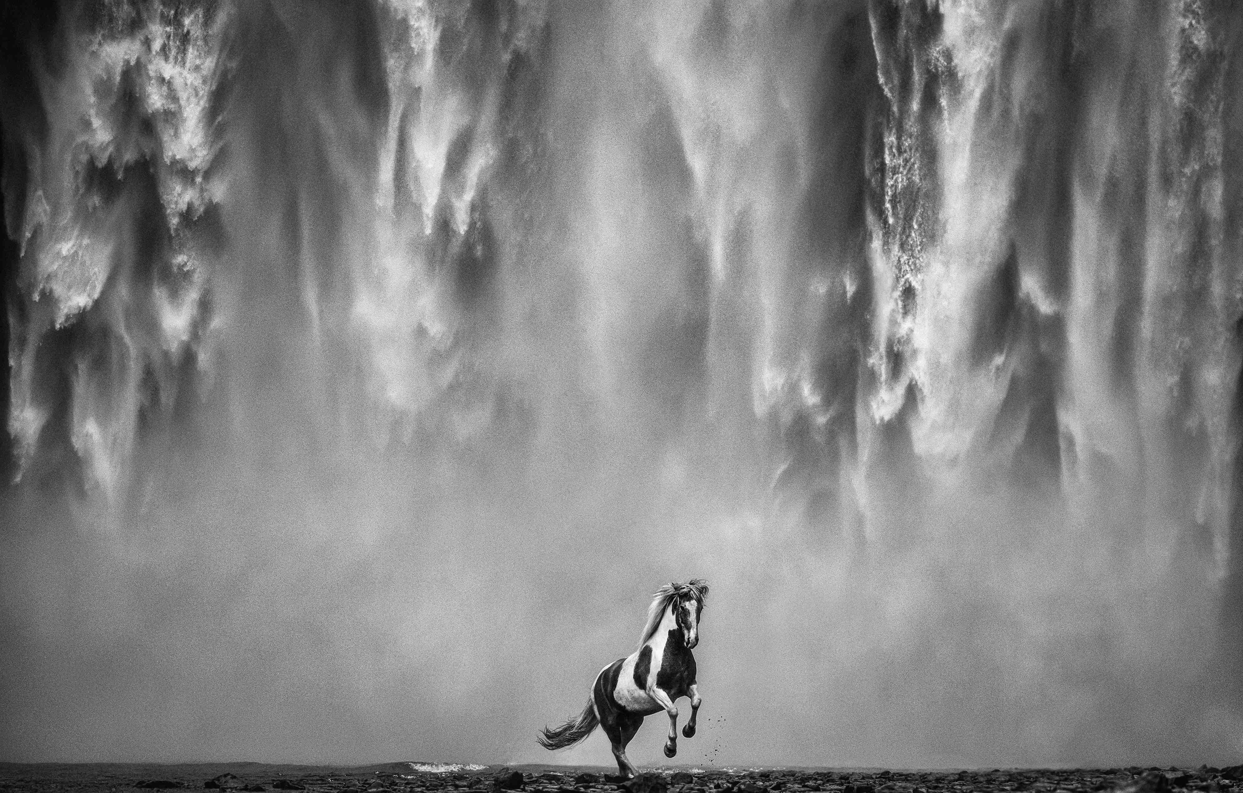 David Yarrow Black and White Photograph - Legends of the Fall