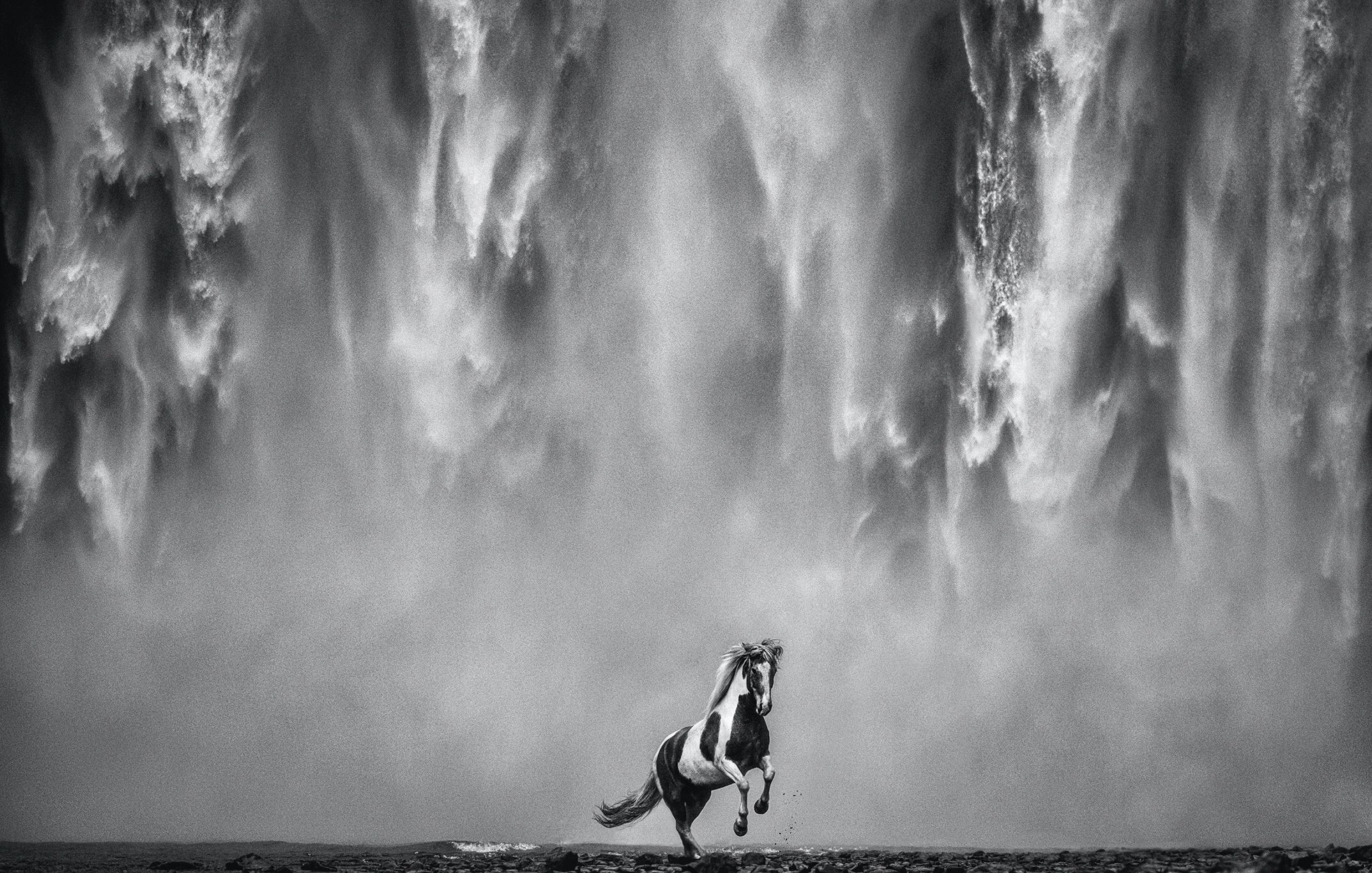 David Yarrow Black and White Photograph - Legends of the Fall