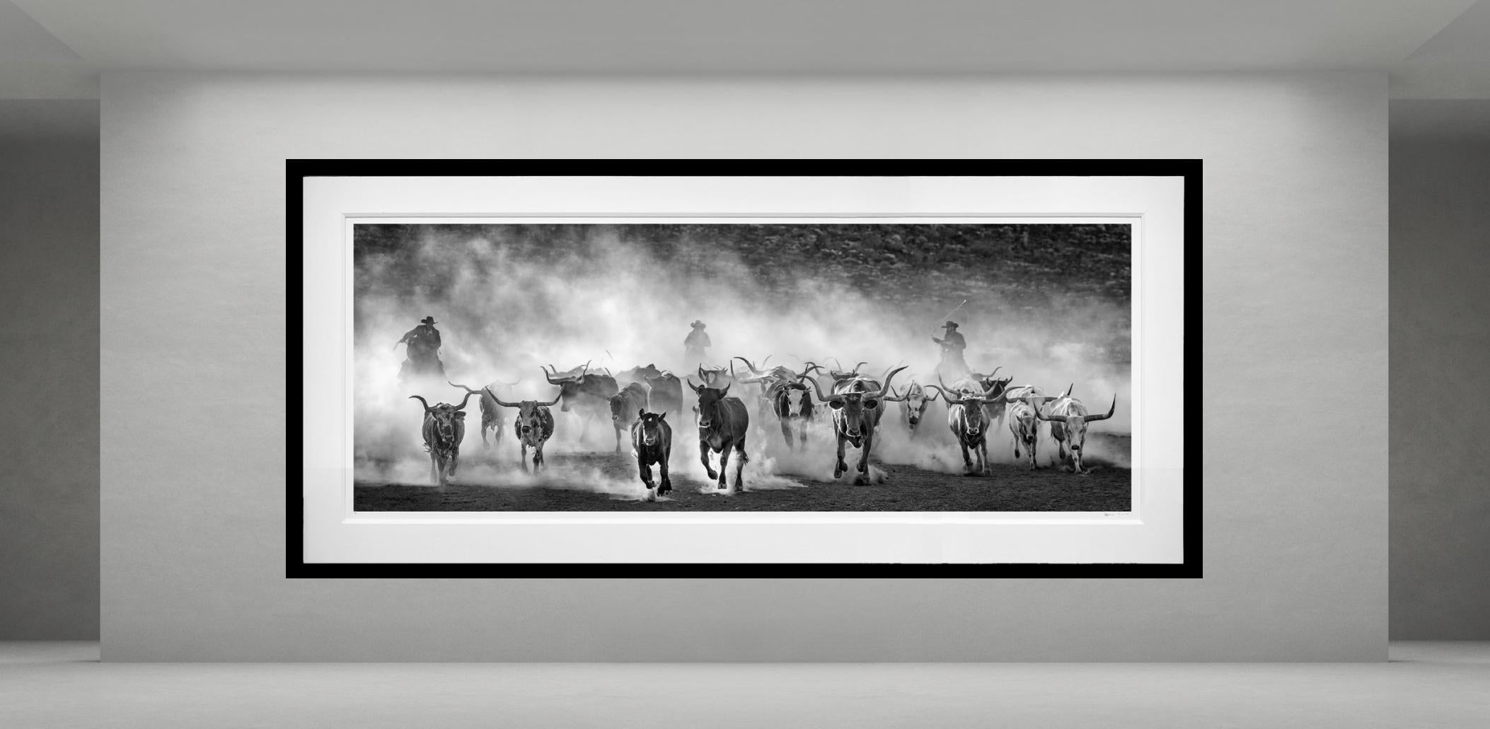 Lonesome Dove, Texas di David Yarrow in vendita 1