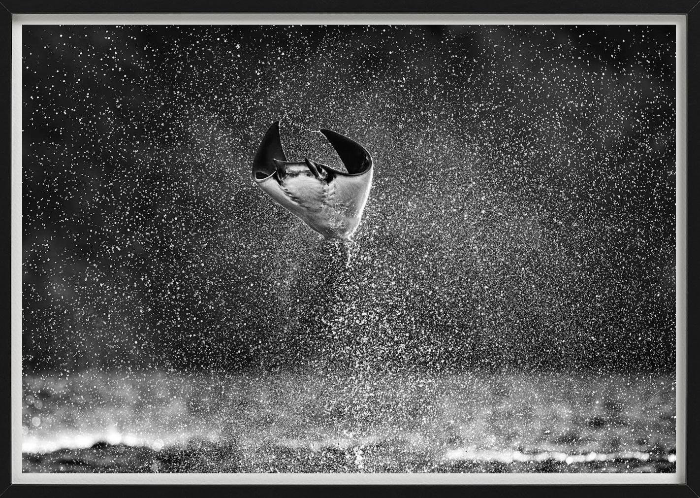 Nahaufnahme eines Mantarochens, der aus dem Wasser springt, fotografiert von David Yarrow im Jahr 2021.

Alle Drucke sind in limitierter Auflage erhältlich. Erhältlich in mehreren Größen. Hochwertige Einrahmung auf Anfrage.

Alle Drucke werden von