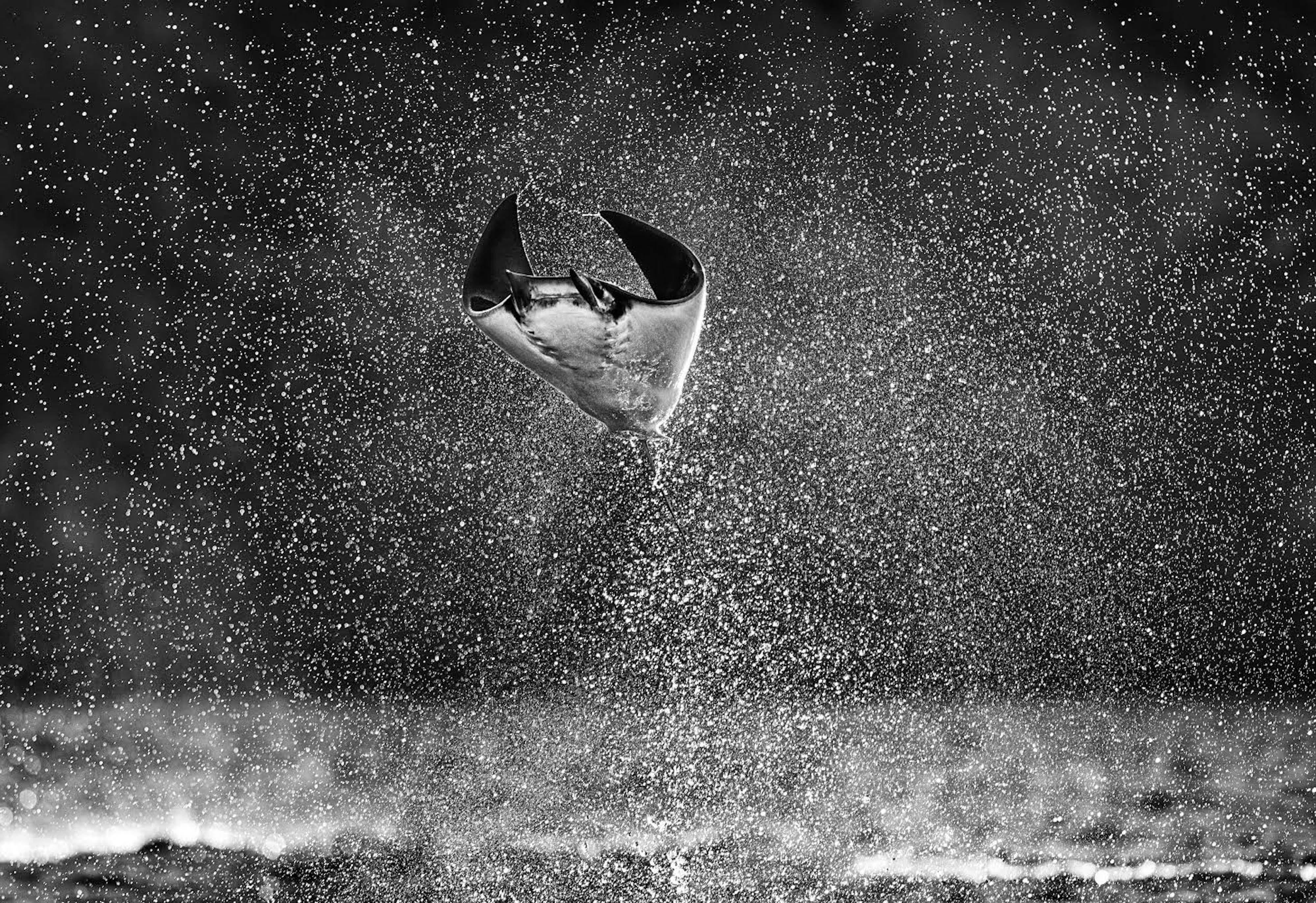 David Yarrow Figurative Photograph – Mars Attacks, Manta Ray springt aus dem Wasser, Kunstfotografie, 2021