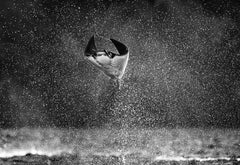 Mars Attacks, Manta Ray springt aus dem Wasser, Kunstfotografie, 2021
