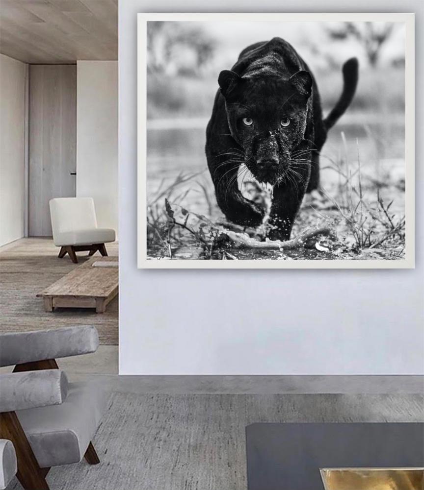 Marvel – Porträt eines schwarzen Panthers, Kunstfotografie, 2022 im Angebot 4