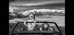 Montana Baby by David Yarrow - Wolf