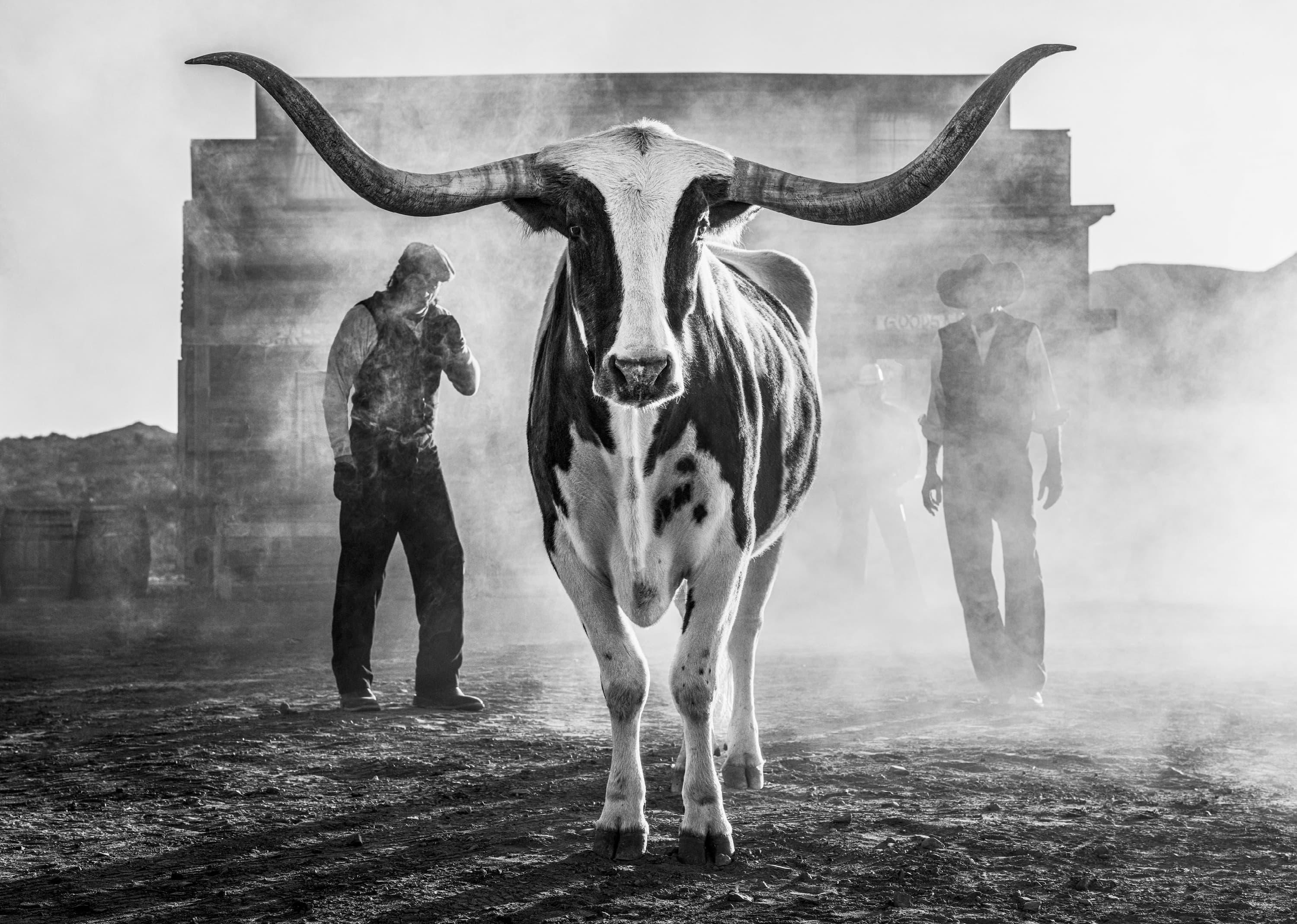 Morning Has Broken (B&W)
West Texas, Texas - 2026

Also available in Colour.

Available Sizes:

Standard
Edition of 12
Image Size: 37" x 52"
Framed Size (with a 5" mat): 52" x 67"

Large
Edition of 12
Image Size: 56" x 79"
Framed Size (with a 5"