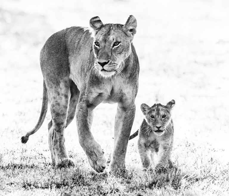 David Yarrow Black and White Photograph - Mother's Day