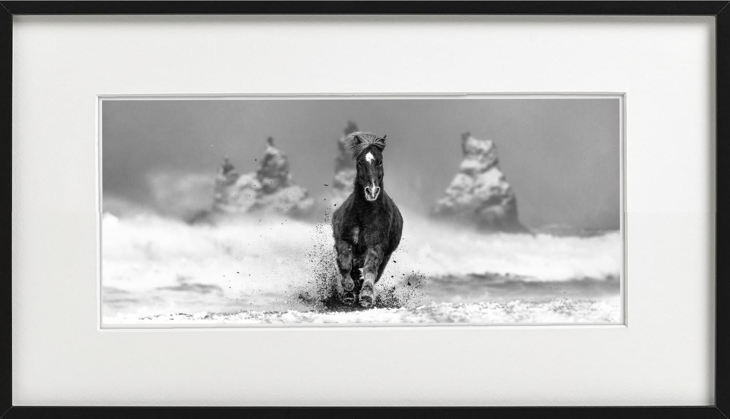 My perfect Storm - Horse on a snowy beach in Iceland, fine art photography, 2024 - Photograph by David Yarrow