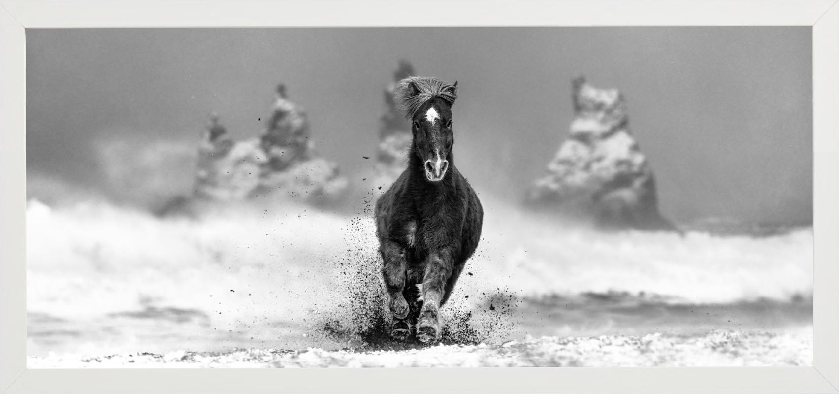 My perfect Storm - Horse on a snowy beach in Iceland, fine art photography, 2024 For Sale 1