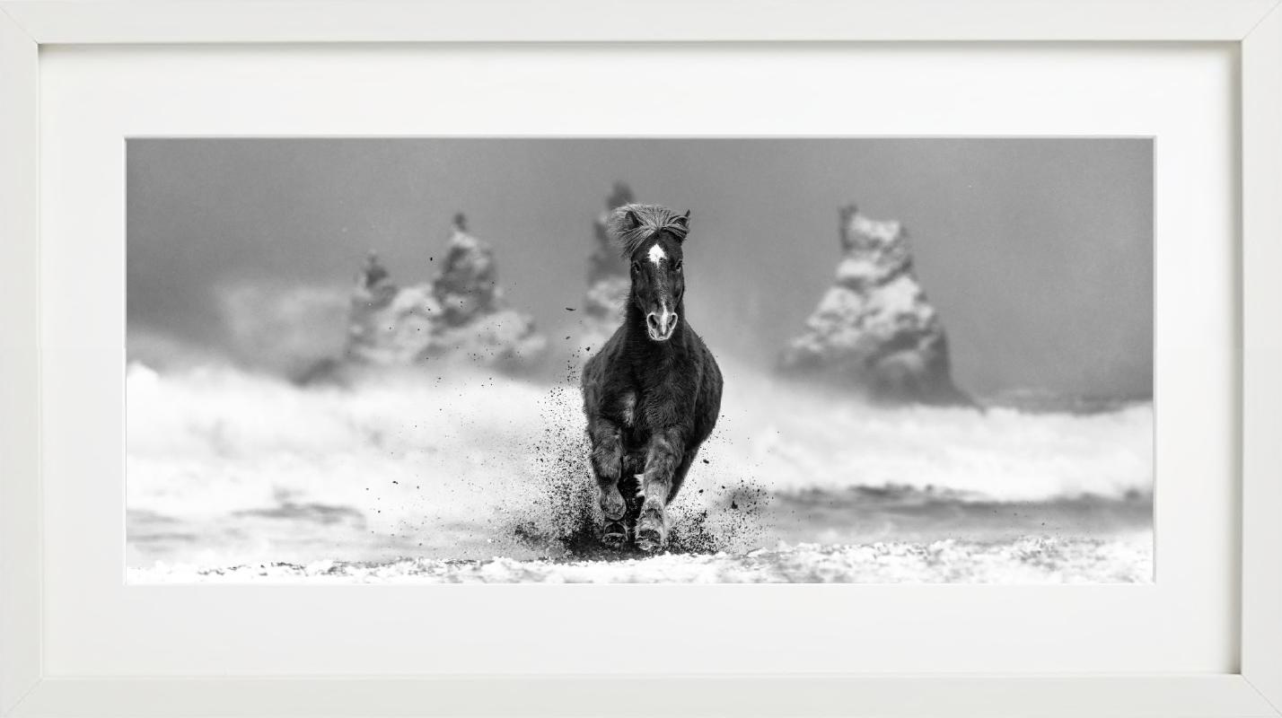 My perfect Storm - Horse on a snowy beach in Iceland, fine art photography, 2024 For Sale 2