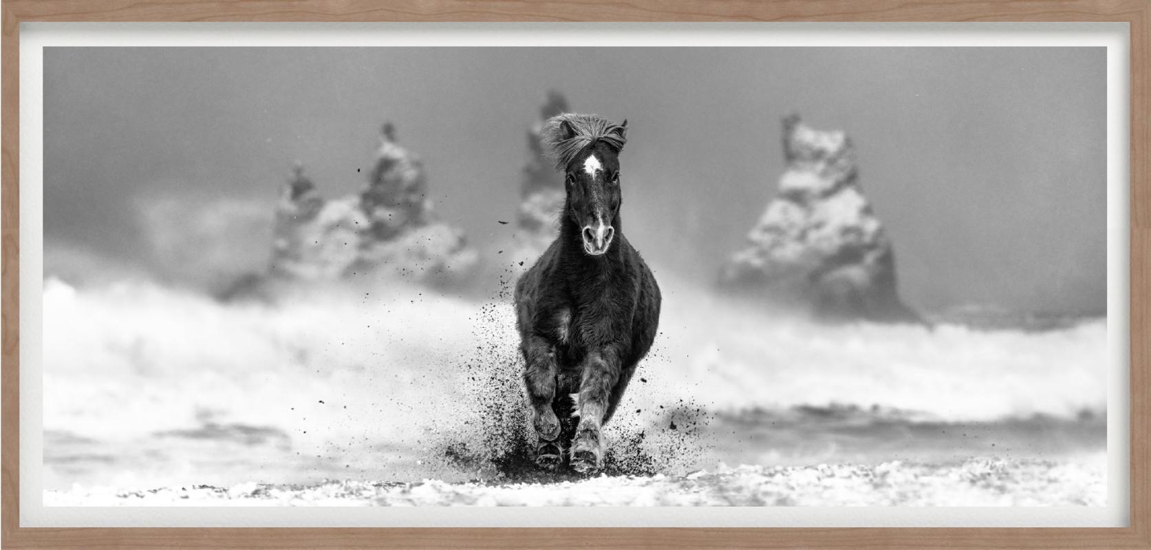 My perfect Storm - Horse on a snowy beach in Iceland, fine art photography, 2024 For Sale 4