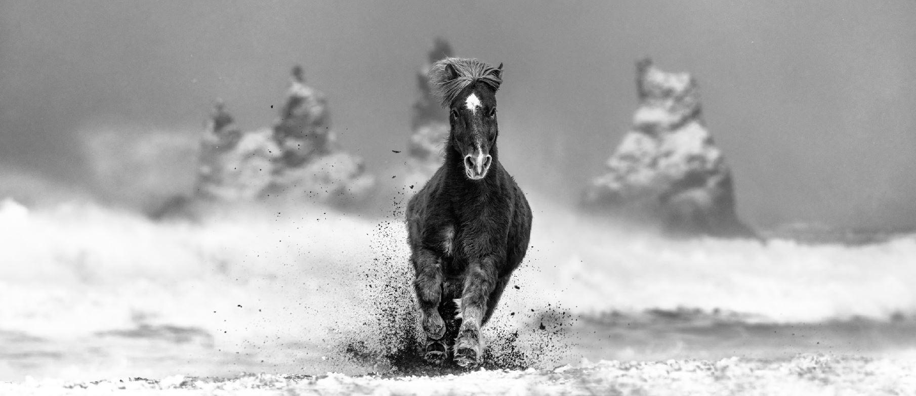David Yarrow Black and White Photograph - My perfect Storm - Horse on a snowy beach in Iceland, fine art photography, 2024