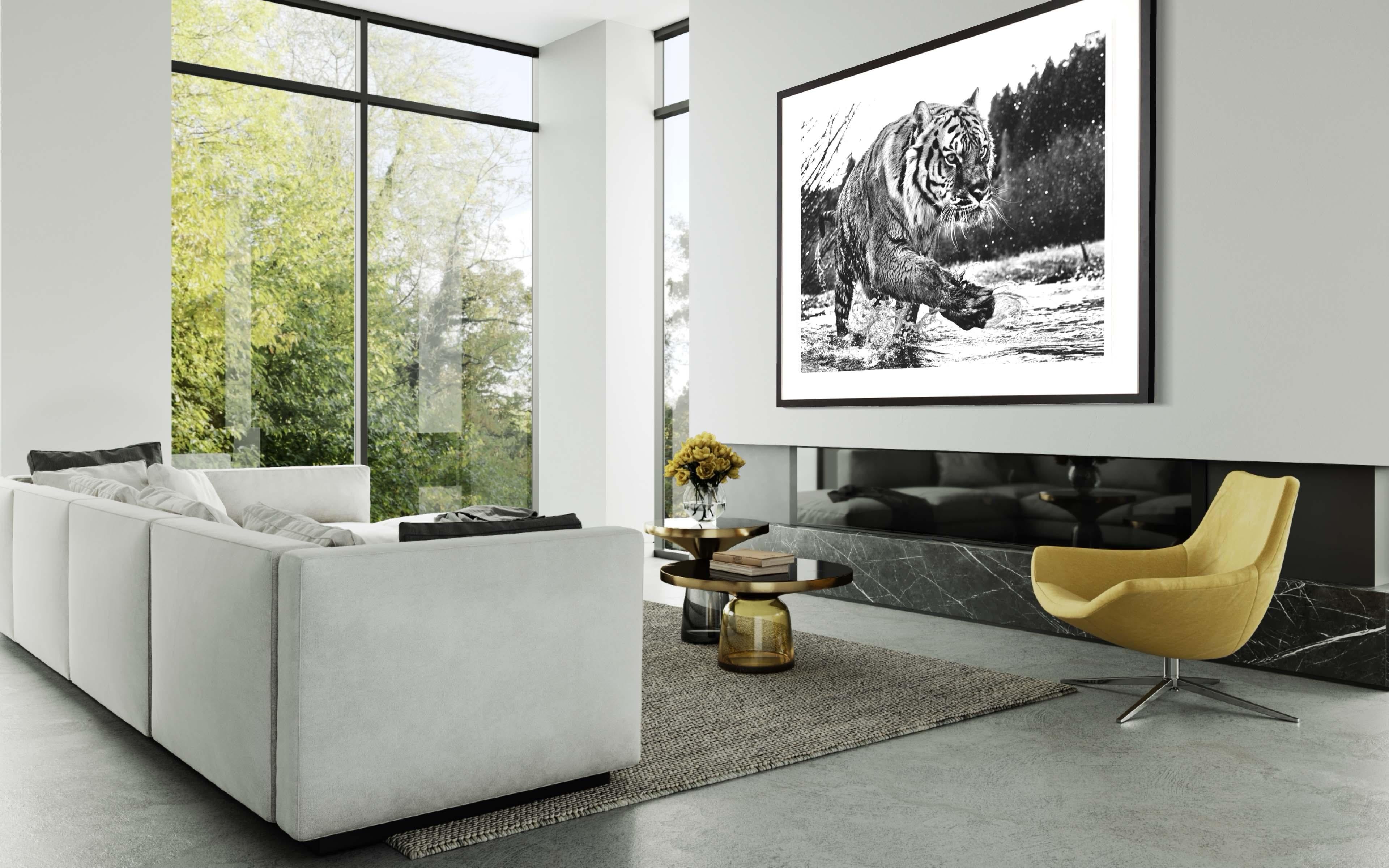 david yarrow tiger