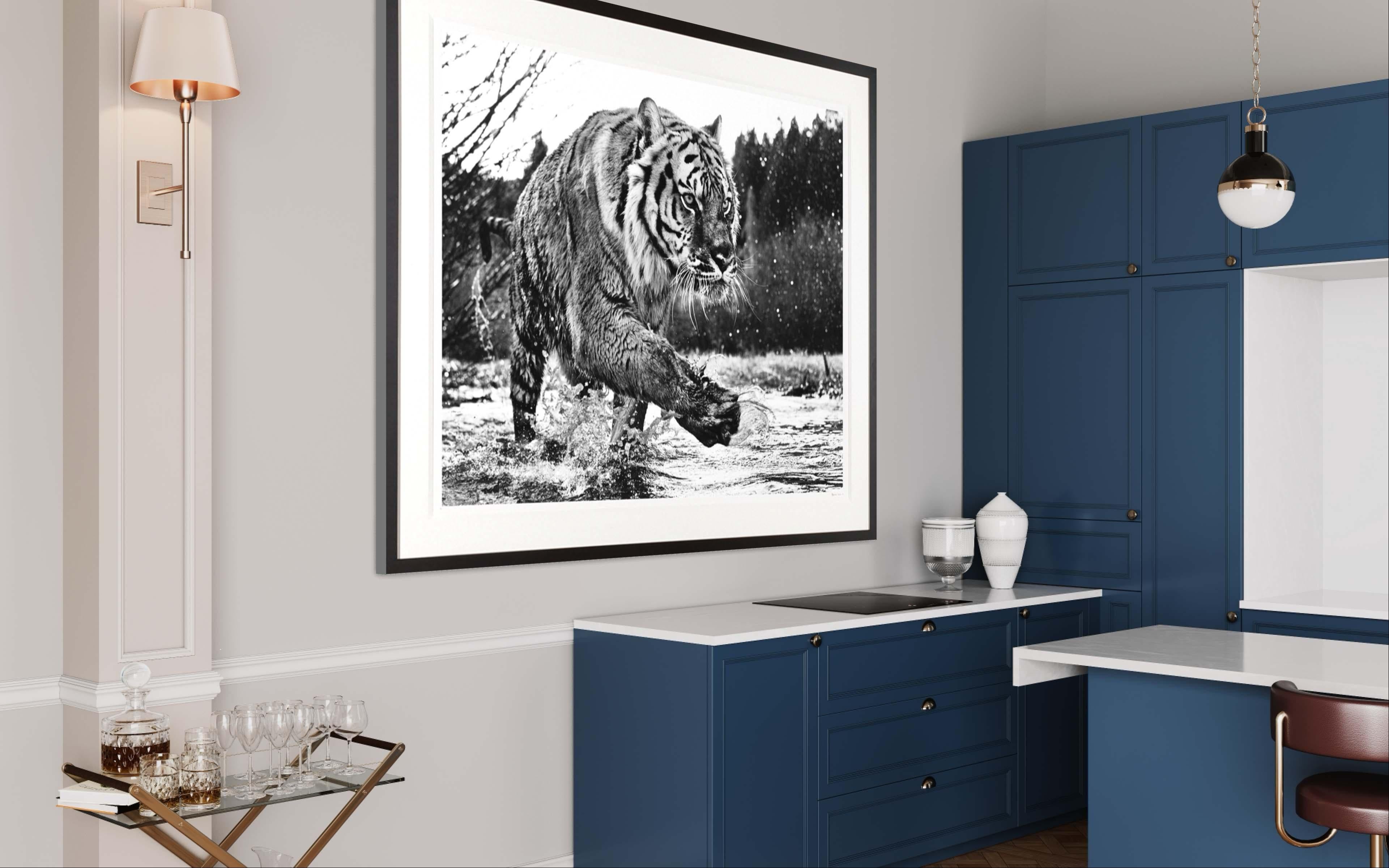 david yarrow prints