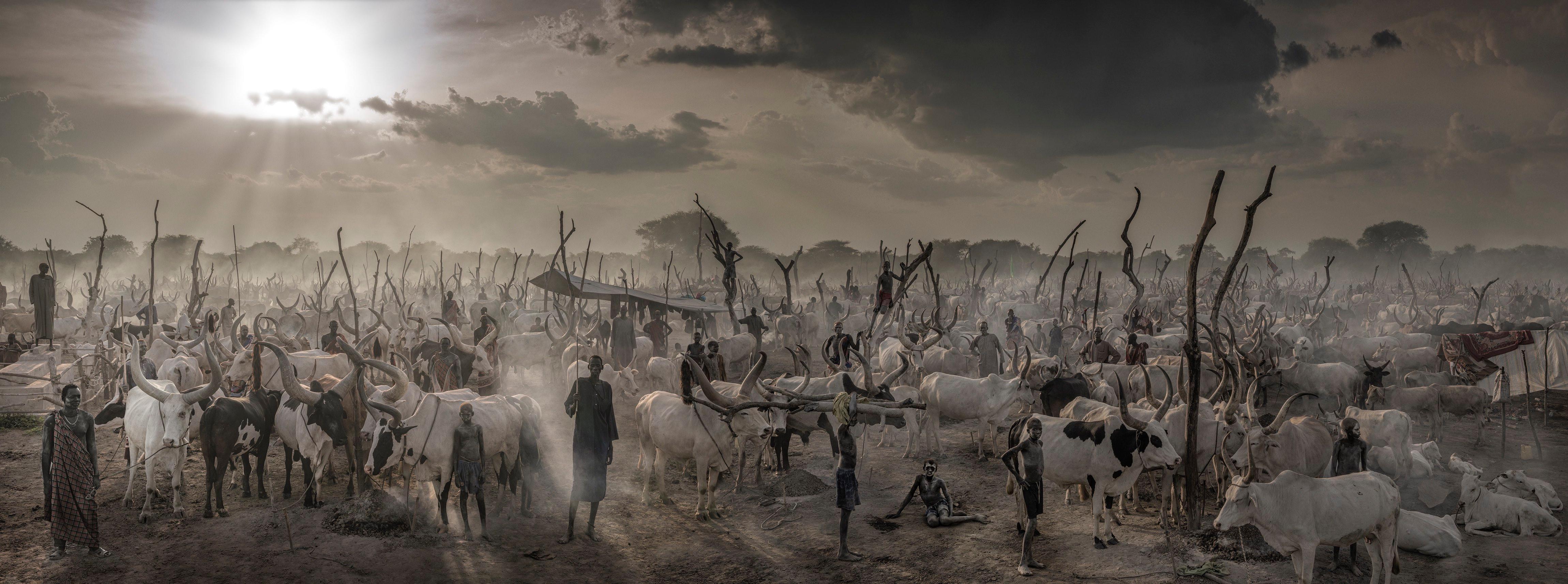 Black and White Photograph de David Yarrow - Nuevo Testamento (Monocromo)