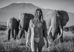 Nobody's Trophy, Amboseli, Kenya par David Yarrow - Photographie contemporaine