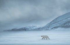 David Yarrow - North Of The Wall North Of The Wall