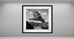 O Captain! My Captain!, South Africa by David Yarrow - Wildlife Photography
