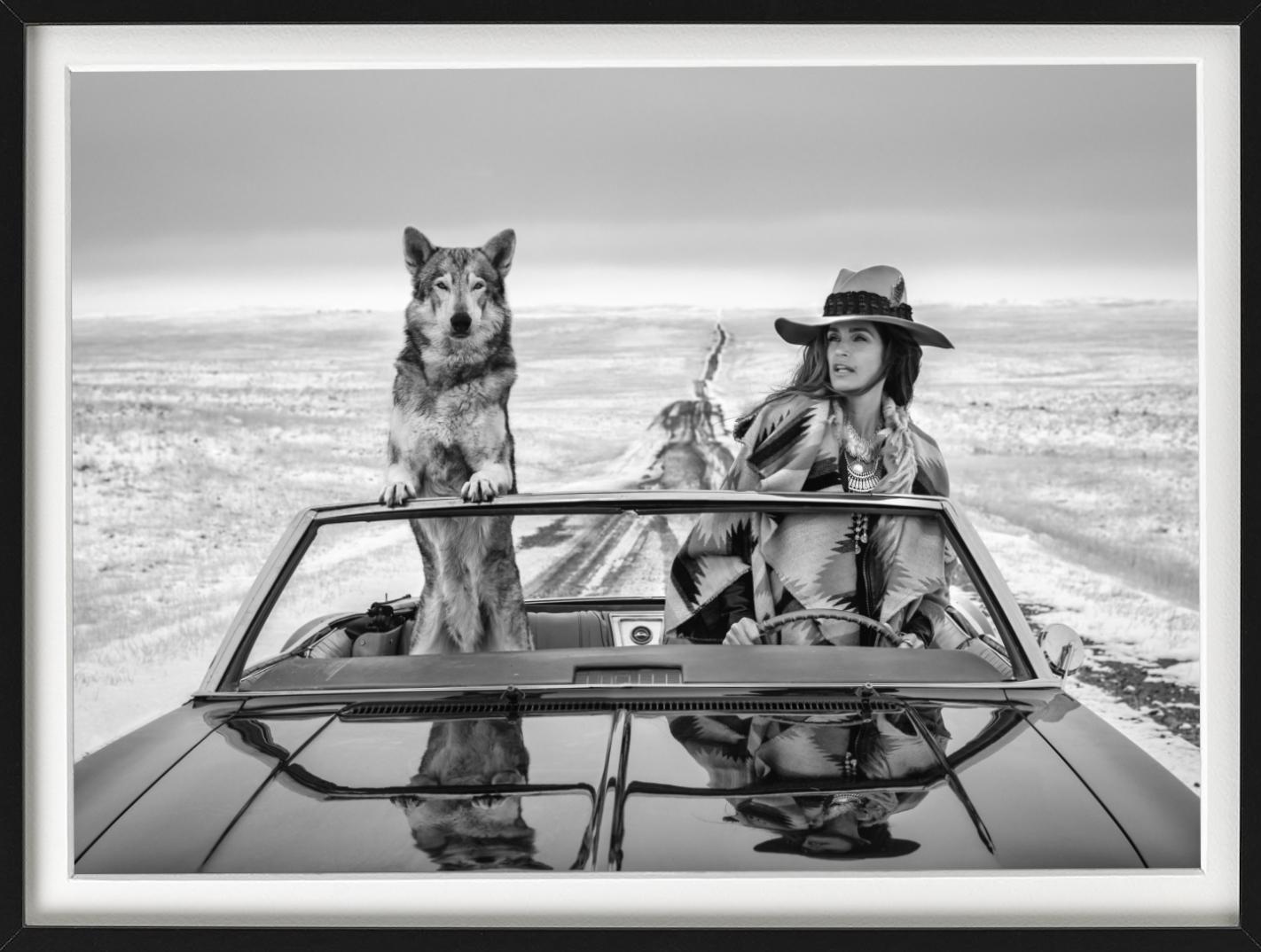La top-modèle Cindy Crawford à nouveau sur la route - dans une voiture avec un loup - Photograph de David Yarrow