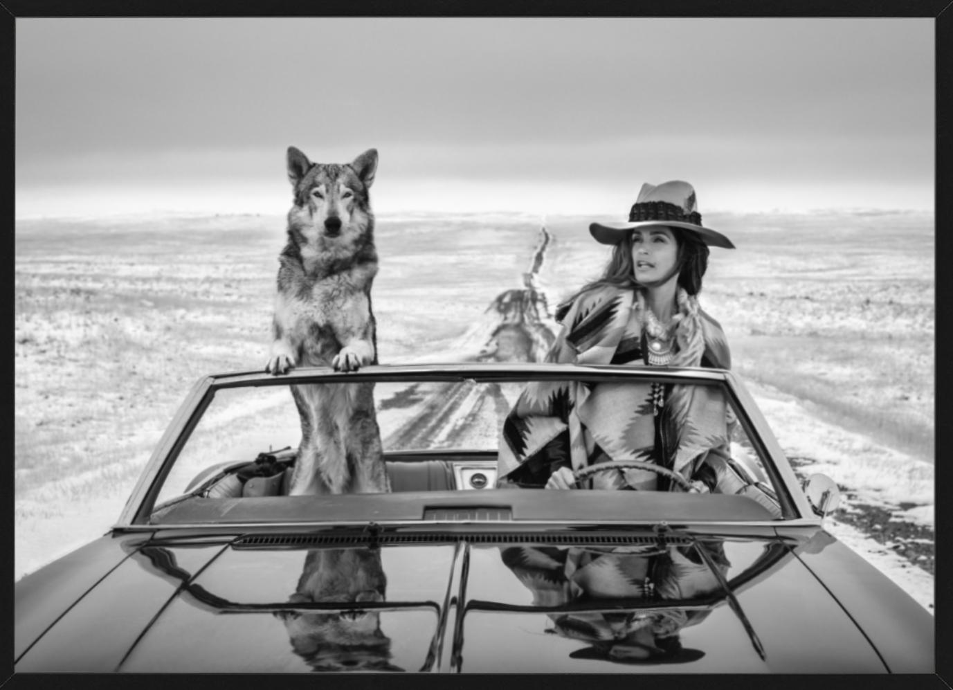 La top-modèle Cindy Crawford à nouveau sur la route - dans une voiture avec un loup - Gris Black and White Photograph par David Yarrow