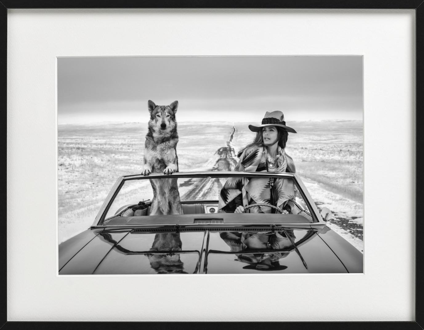 Autres tailles et cadres haut de gamme sur demande.

La top-modèle Cindy Crawford à nouveau sur la route - dans une voiture avec un loup

PREISS FINE ARTS est l'une des principales galeries de photographie d'art au monde, représentant les artistes