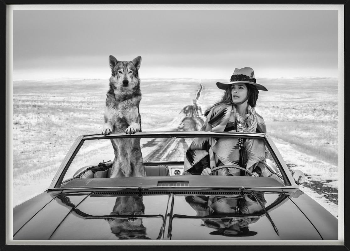La top-modèle Cindy Crawford à nouveau sur la route - dans une voiture avec un loup en vente 1