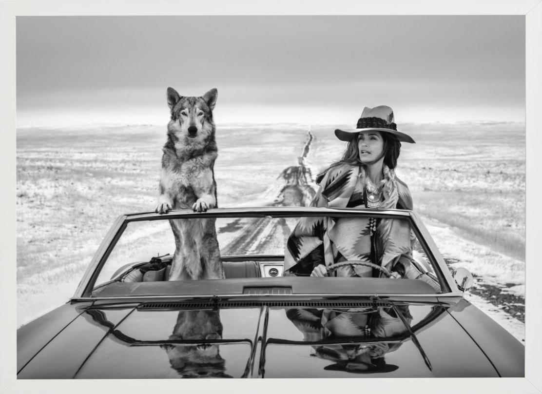 La top-modèle Cindy Crawford à nouveau sur la route - dans une voiture avec un loup en vente 2