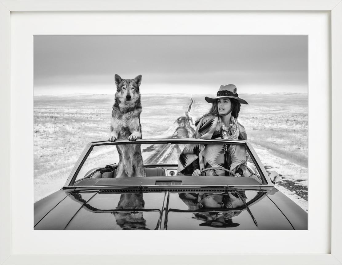 La top-modèle Cindy Crawford à nouveau sur la route - dans une voiture avec un loup en vente 3