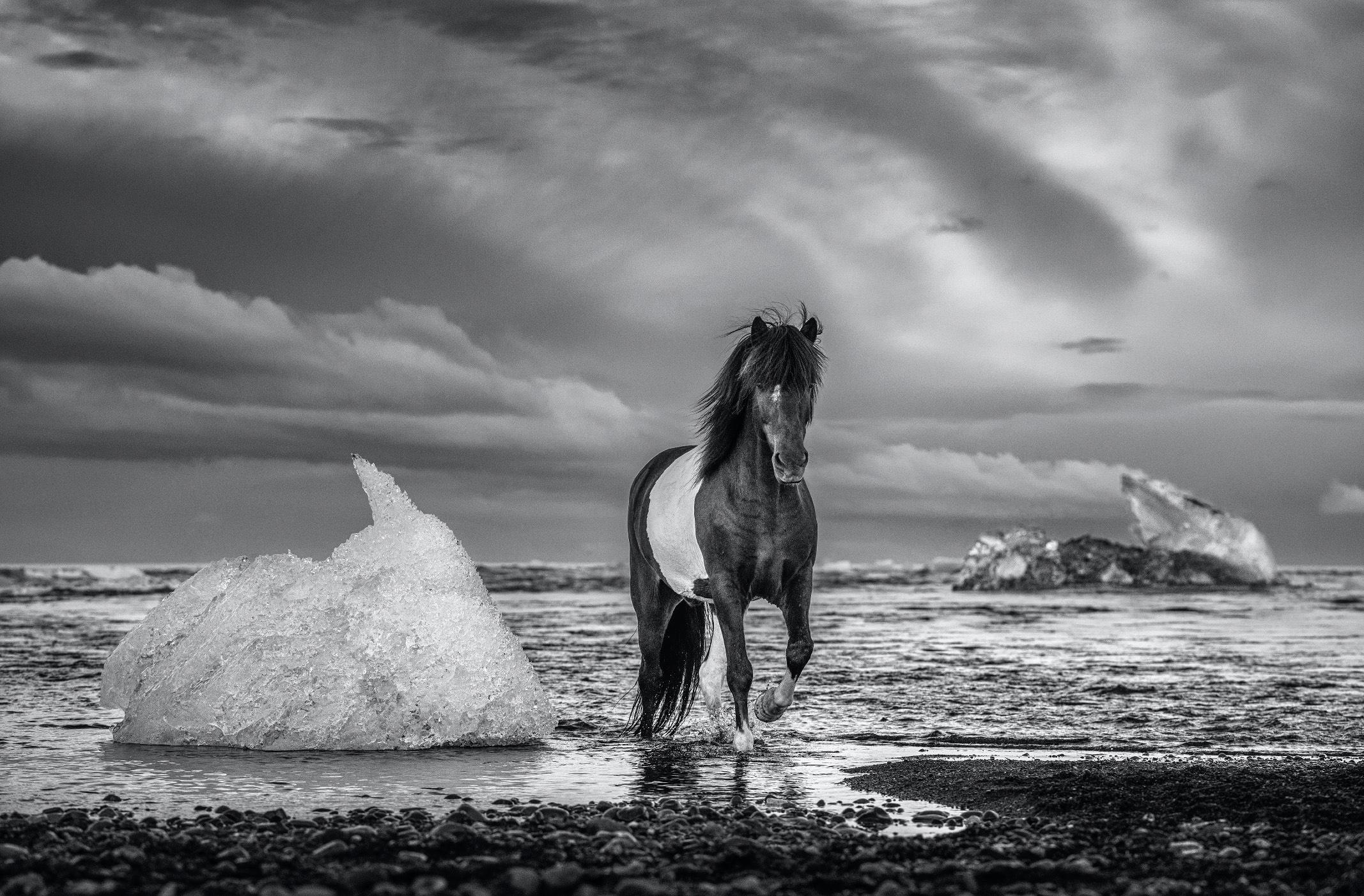David Yarrow Black and White Photograph - On the Rocks