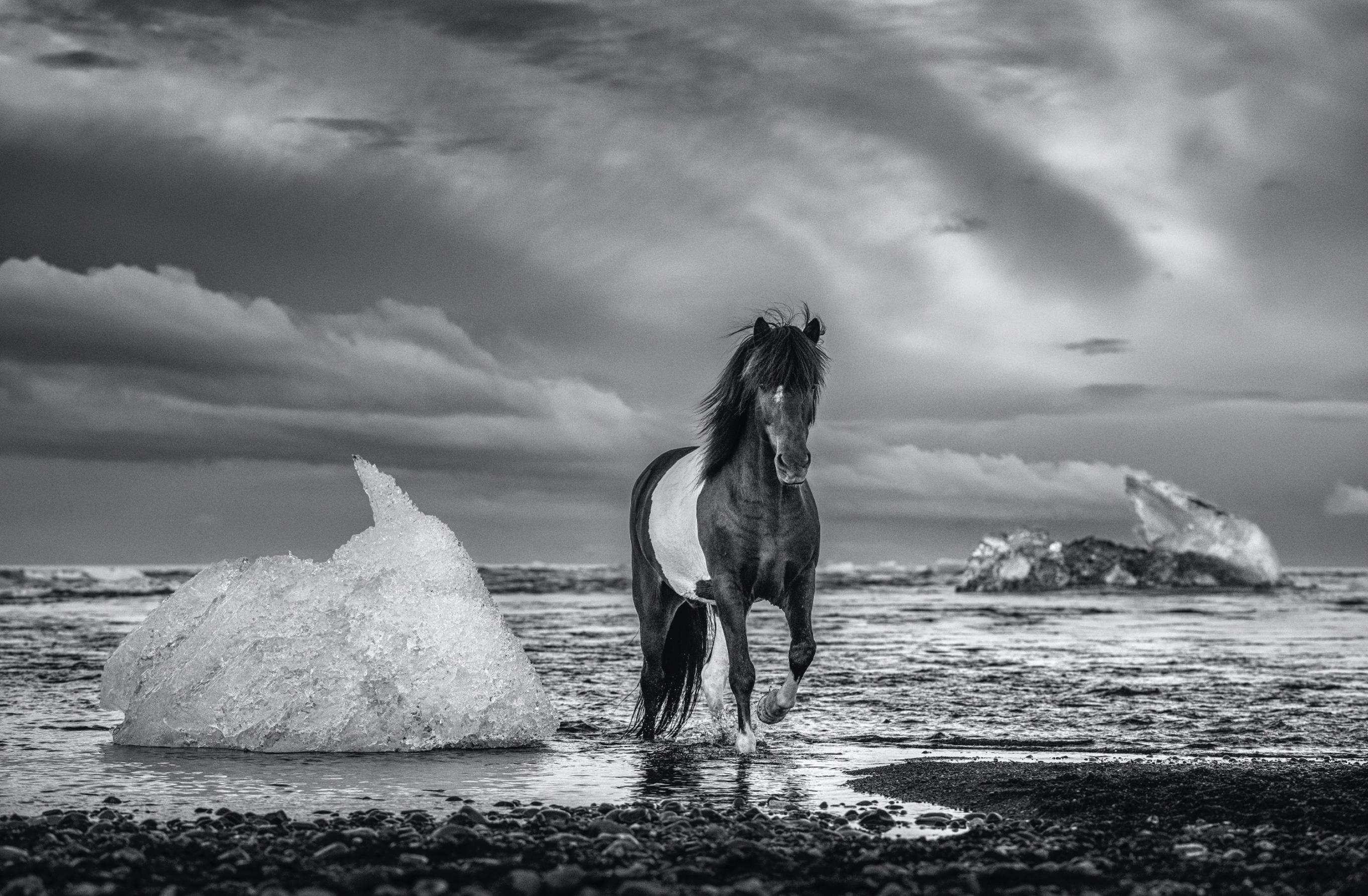 David Yarrow Black and White Photograph - On the Rocks