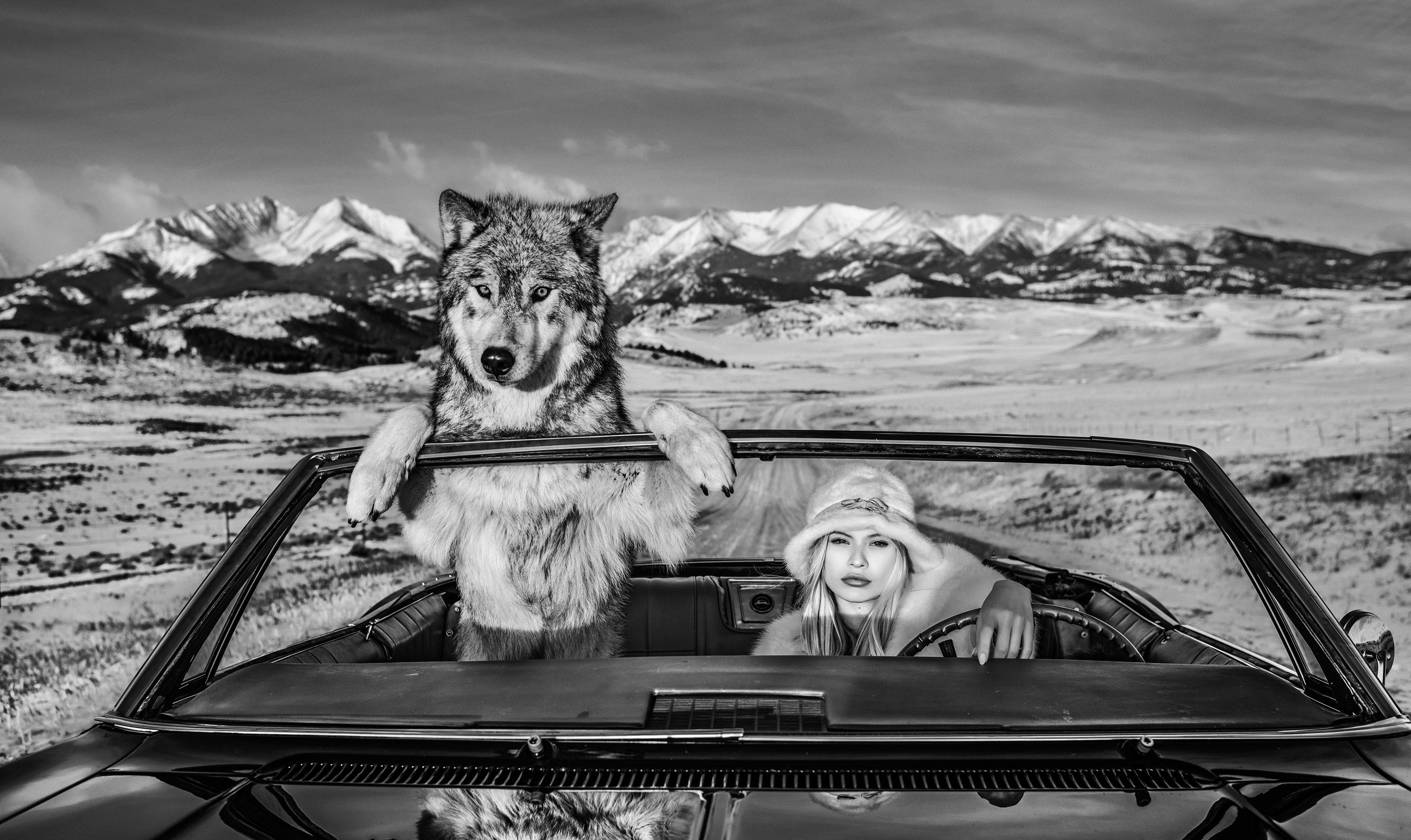 Érase una vez en el Oeste II
Montana, EE.UU. - 2019

Impresión de pigmentos de archivo sobre papel baritado Hahnemühle Photo Rag de 315 g/m². 

Tamaño de la edición: 12

Tallas disponibles:

Estándar 
Tamaño de la imagen: 37" x 62"
Enmarcado Tamaño: