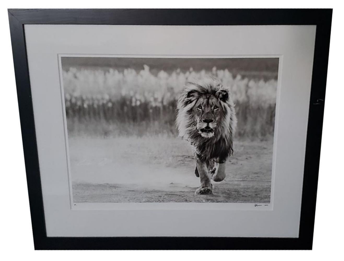 One Foot on the Ground - Photograph by David Yarrow