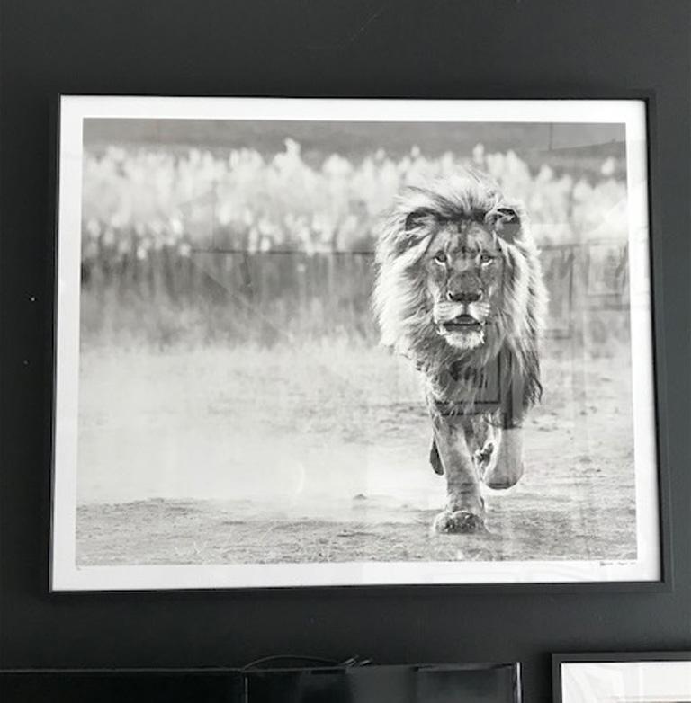 One Foot On The Ground - Photograph by David Yarrow