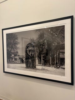 Out of Towner by David Yarrow - Bear - Montana