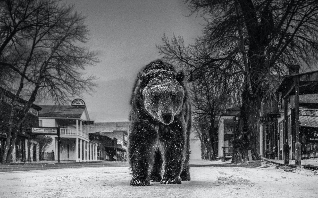 David Yarrow Black and White Photograph - Out of Towner