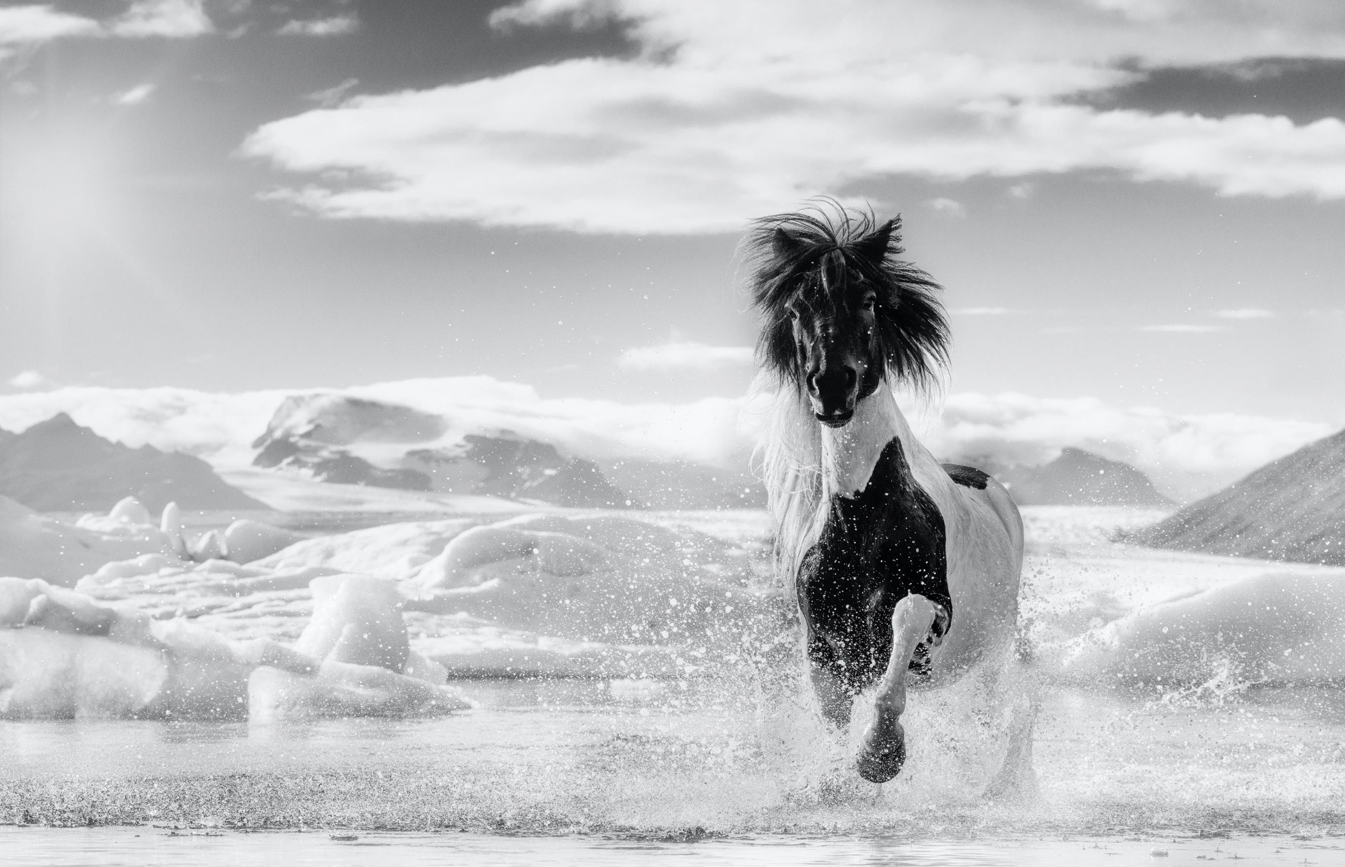 David Yarrow Black and White Photograph - Punk