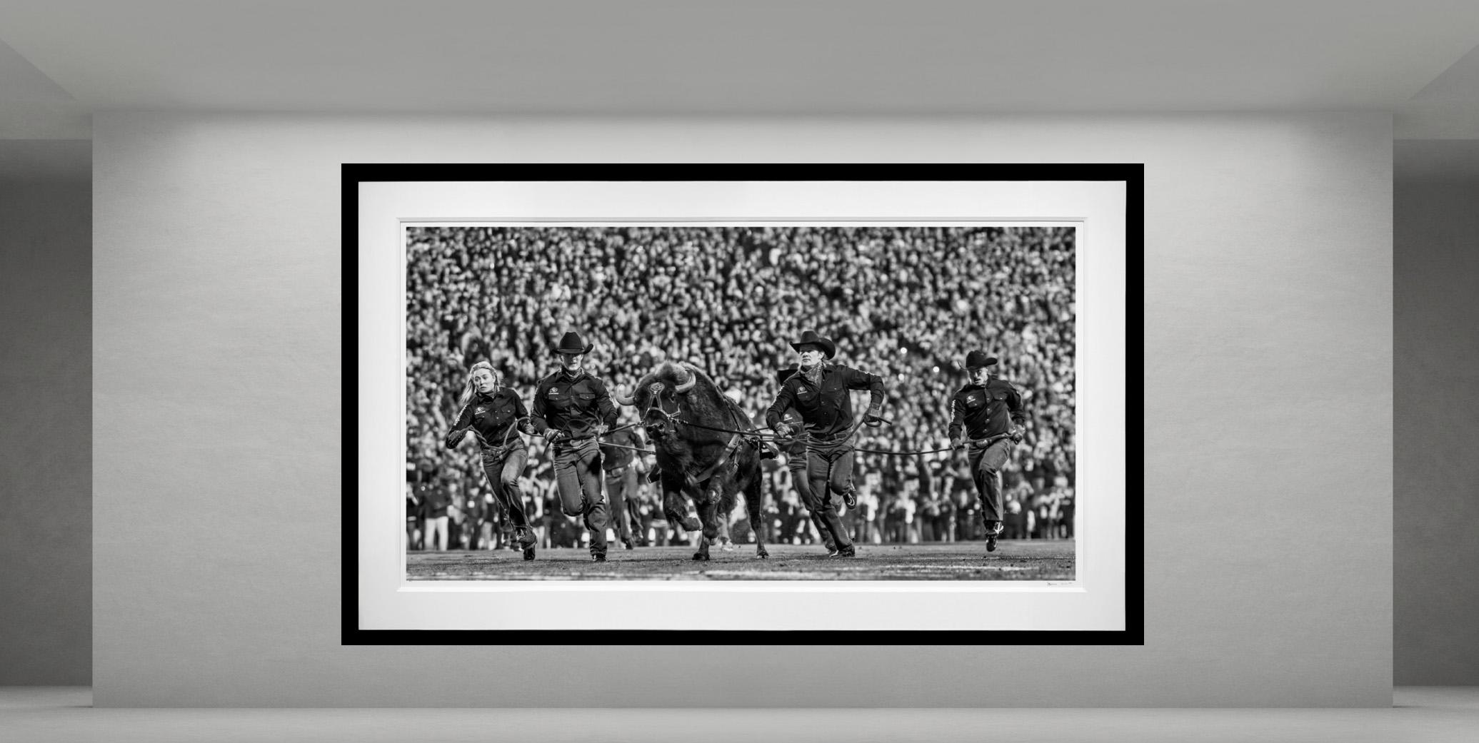 Ralphie El Búfalo, Colorado por David Yarrow en venta 1