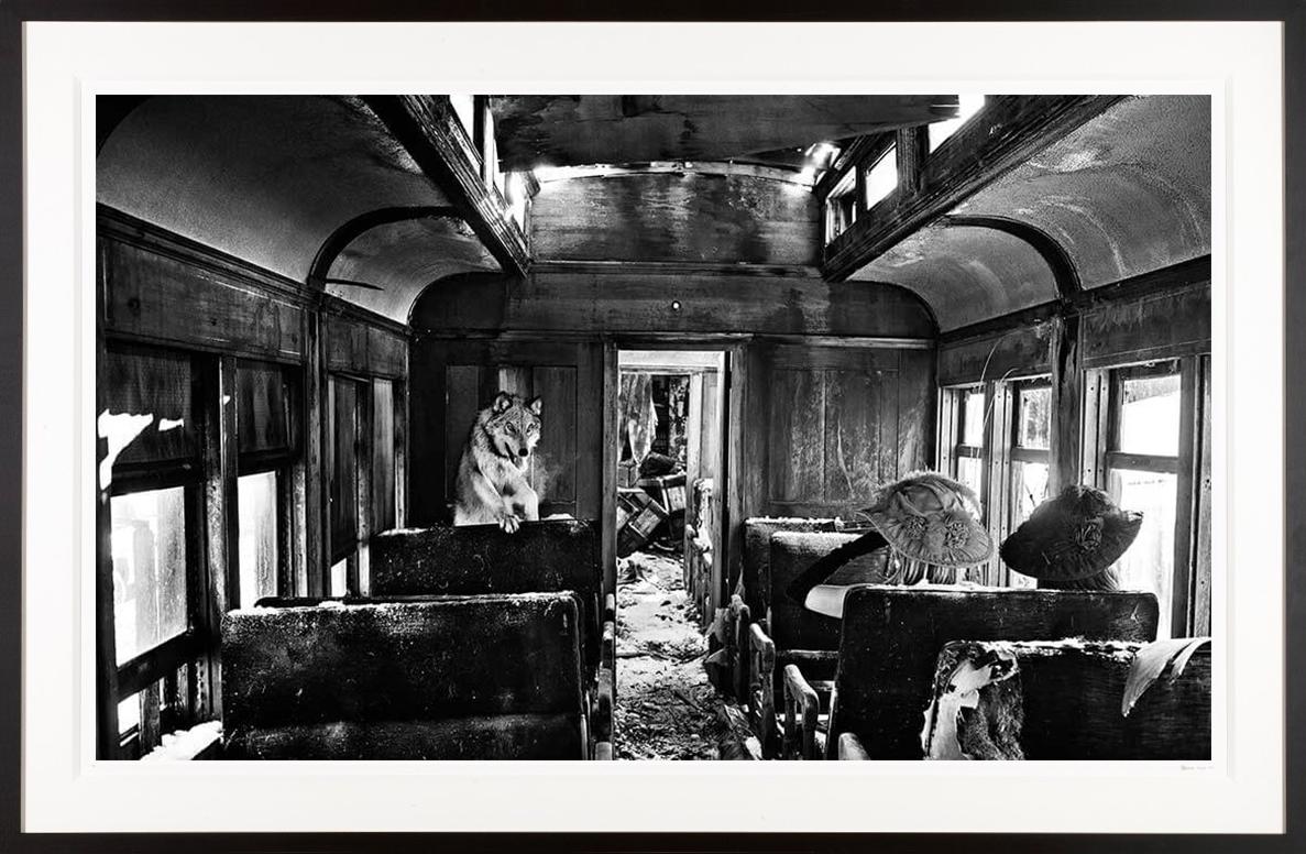 David Yarrow Black and White Photograph - "Ride The Ghost Train" with Wolf & Two Brave Girls in Decaying Carriage 