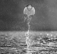 Hombre cohete, La Paz, México por David Yarrow - Fotografía de fauna y flora contemporáneas