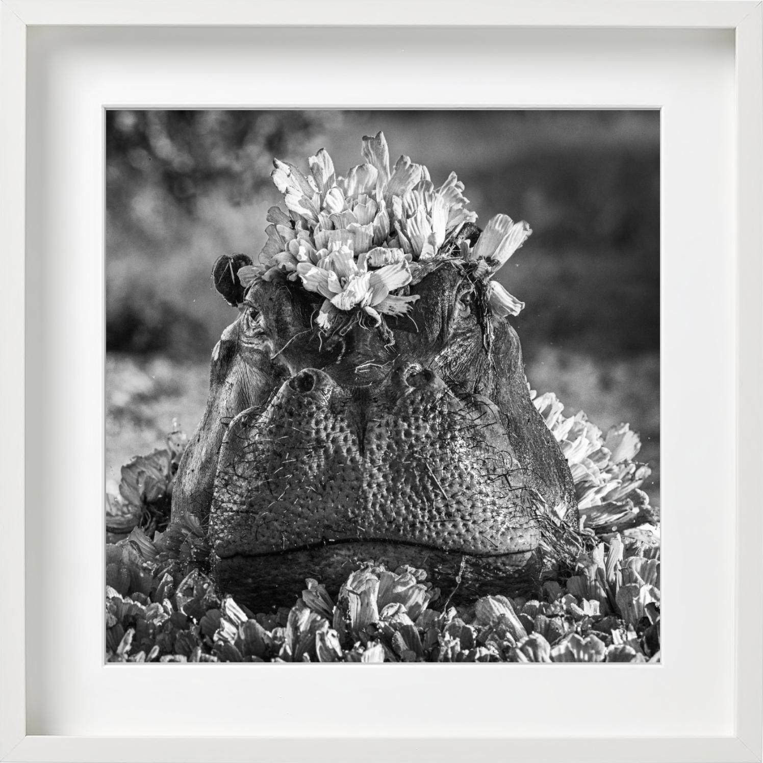 Royal Ascot, Fotografía artística - Photograph de David Yarrow