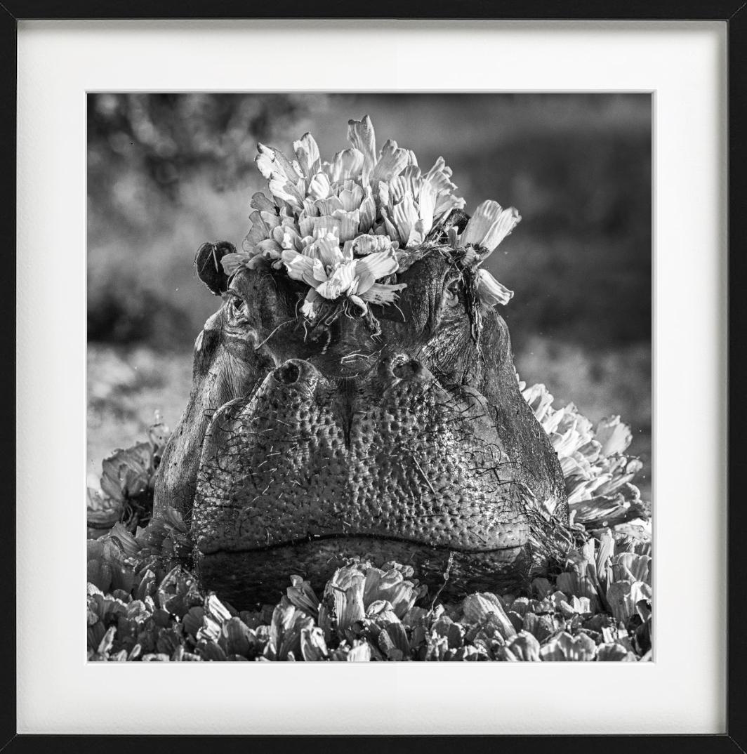 Royal Ascot, Fotografía artística - Photograph Contemporáneo de David Yarrow