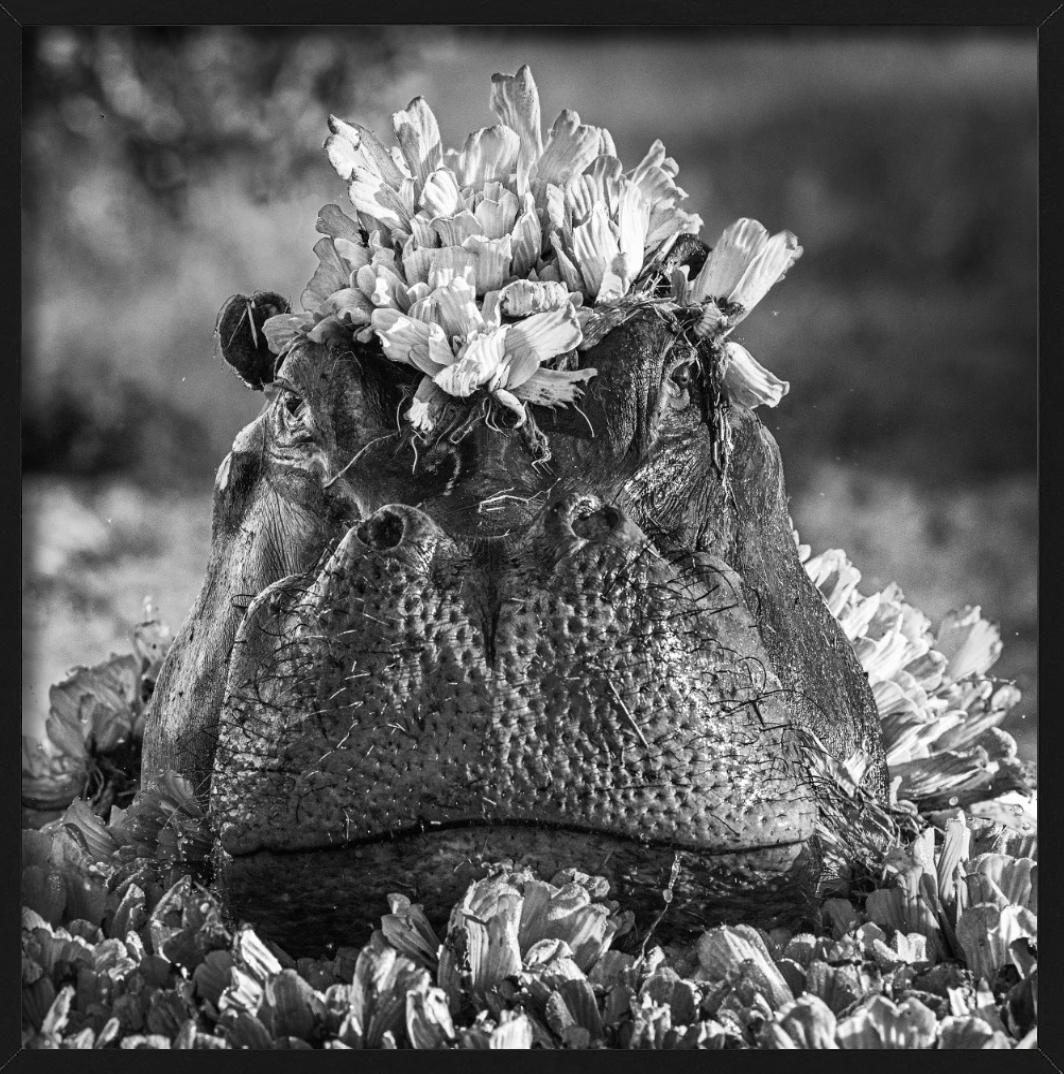Royal Ascot, Fotografía artística - Figurative Photograph Negro de David Yarrow